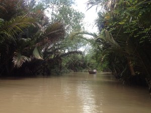 The smaller, secluded sections of the Mekong River.