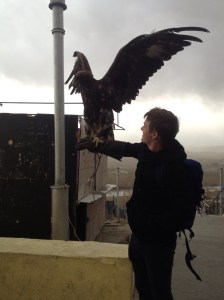 Making the eagle fly.