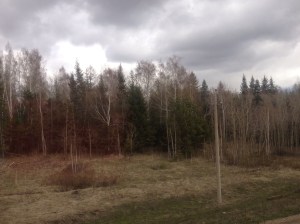 A dull, dreary Siberian morning.