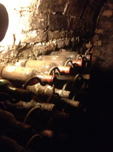 Dusty old wine bottles in the cellar. 