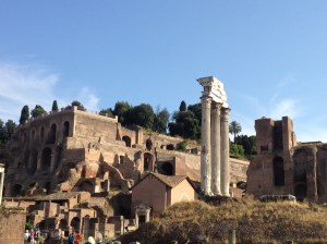 Some of the first sights I saw upon setting foot in the Roman Forum. 