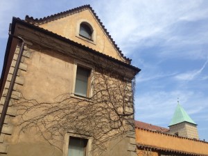 Even the exterior of some of the random building around the castle grounds were particularly beautiful and enchanting.