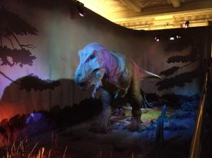The tyrannosaurus rex moving, life-like replica that we waited for so long to see. 