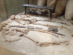 A perfectly preserved pair of skeletons on display in the museum. 