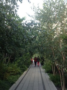 The New York City High Line.