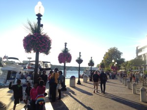 The waterfront by the Potomac River.