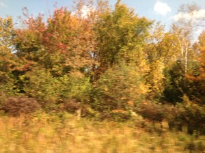 Upstate New York at the turn of autumn.