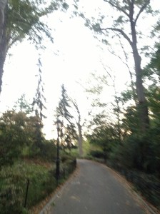 Strolling through Central Park.