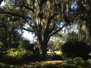 City Park is also home to the New Orleans Botanical Garden.