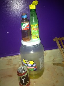 One photo that pretty much sums up my weekend in San Antonio - beer, pickles, and the chilli flakes that Nico used to spice up the Dos Equis on my first night. 